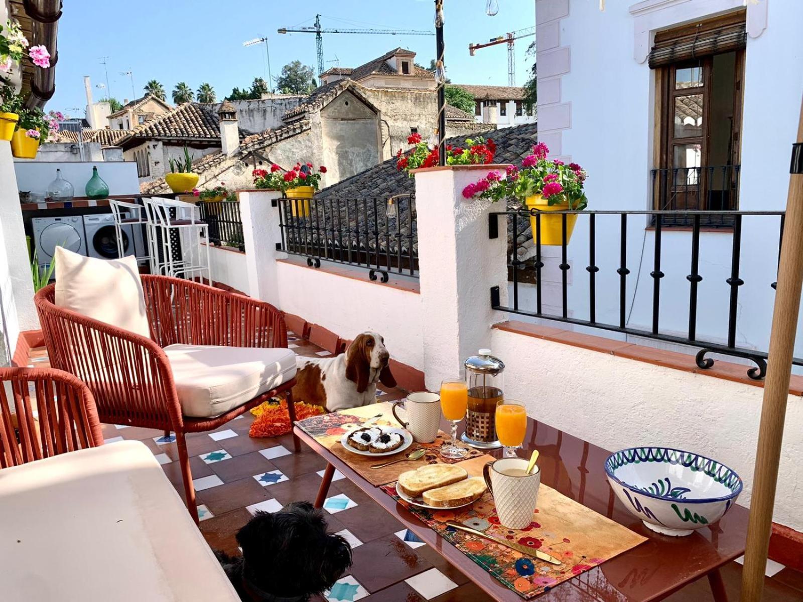 Casa Basilia Séjour chez l'habitant